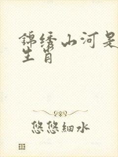 锦绣山河是什么生肖