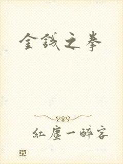 金钱之拳