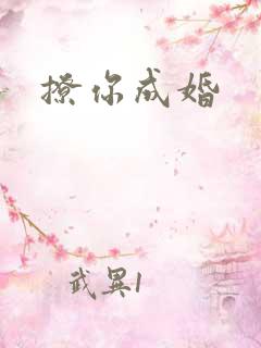 撩你成婚
