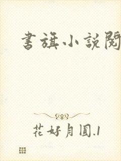 书旗小说阅读网