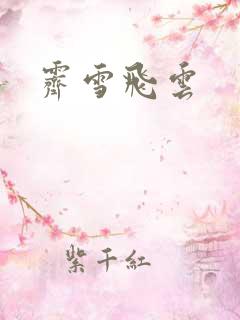 霁雪飞云