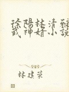 徐阳林清雅绝世武神婿小说