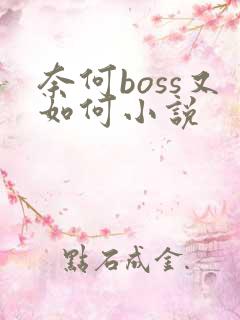 奈何boss又如何小说