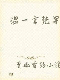 温一言梵星小说