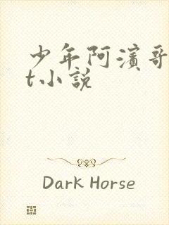 少年阿滨哥txt小说