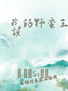我的野蛮王妃小说