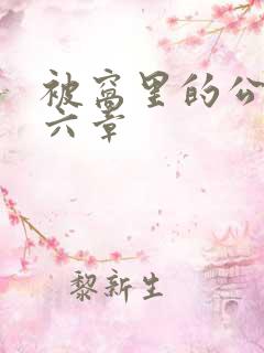 被窝里的公息第六章