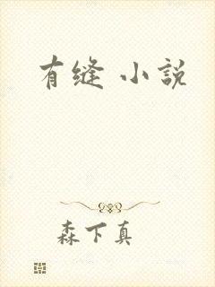 有缝 小说