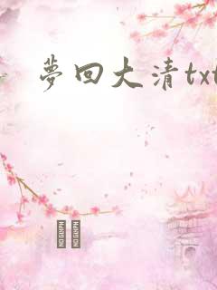 梦回大清txt