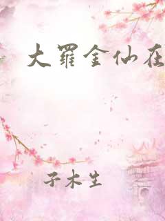 大罗金仙在都市