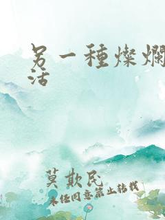 另一种灿烂的生活