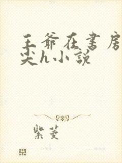 王爷在书房含乳尖h小说