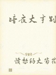 暗夜大亨别烦我