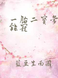 一胎二宝爹地超能宠