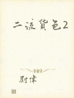 二流货色2