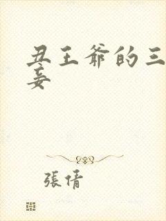 丑王爷的三妻四妾