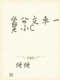 坐公交车一摇一晃小C