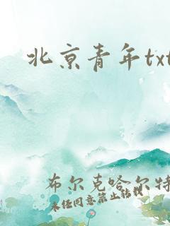 北京青年txt