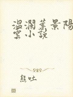 温澜叶景阳温云云小说