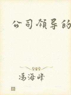 公司领导的老婆