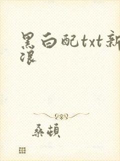 黑白配txt新浪