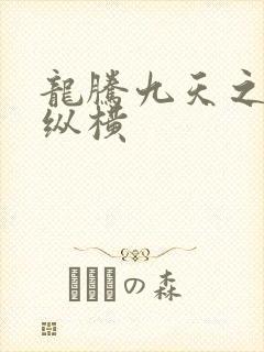 龙腾九天之异世纵横