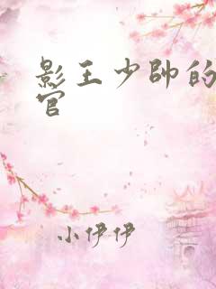 影王少帅的女长官