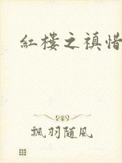 红楼之禛惜黛玉