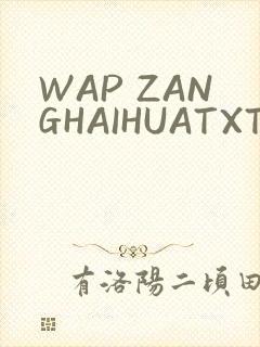 WAP ZANGHAIHUATXT