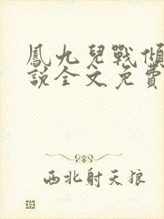 凤九儿战倾城小说全文免费阅读无弹窗