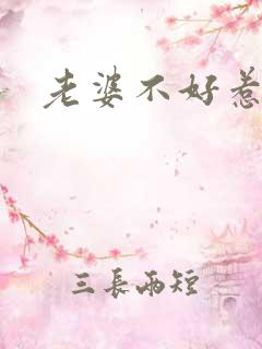 老婆不好惹