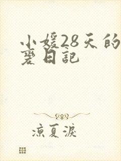 小媛28天的剧变日记