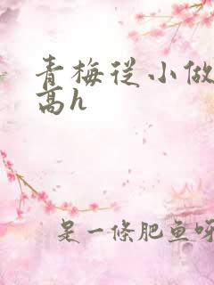 青梅从小做到大高h