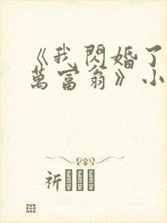 《我闪婚了个亿万富翁》小说