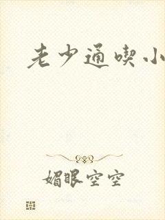 老少通吃小说