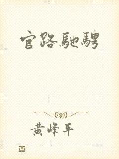 官路驰骋