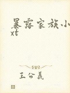 暴露家族小说txt