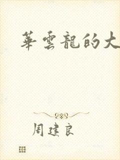 华云龙的大宝贝