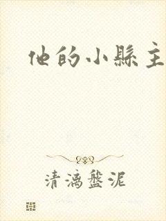 他的小县主