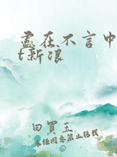 尽在不言中txt新浪