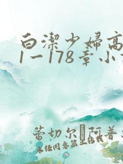 白洁少妇高义第1一178章小说
