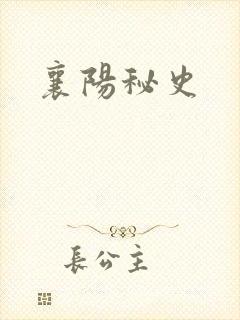 襄阳秘史