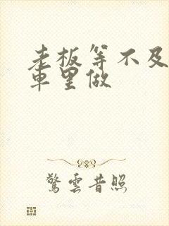 老板等不及了在车里做