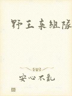 野王来组队小说
