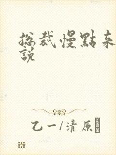 总裁慢点来 小说