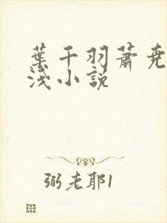 叶千羽萧尧白清浅小说