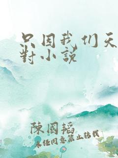 只因我们天生一对小说