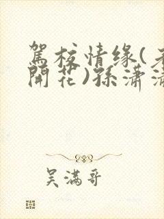 驾校情缘(老树开花)孙潇潇笔趣阁