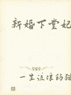 新婚下堂妃