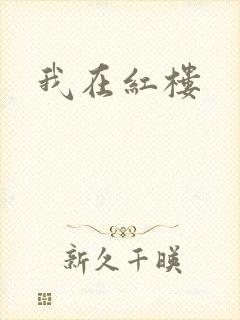 我在红楼